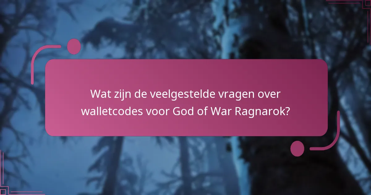 Welke visuele hulpmiddelen kunnen helpen bij het proces van het invoeren van walletcodes?